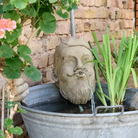 21 / Zentral / Terrasse / Seilbahn Blick