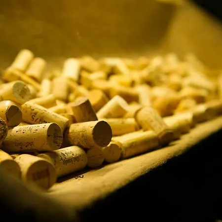 Appartement 21 / Zentral / Terrasse / Seilbahn Blick *