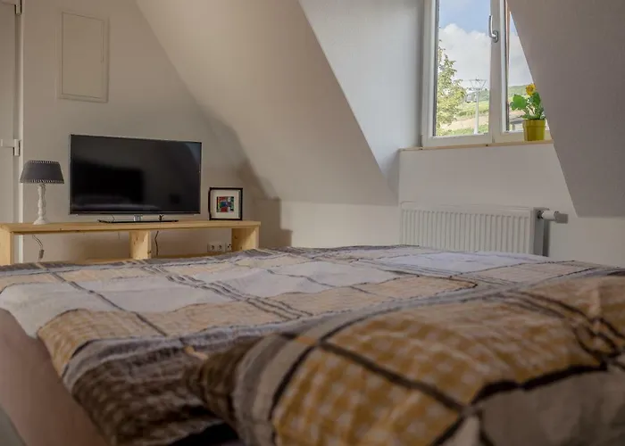 21 / Zentral / Terrasse / Seilbahn Blick 公寓 吕德斯海姆